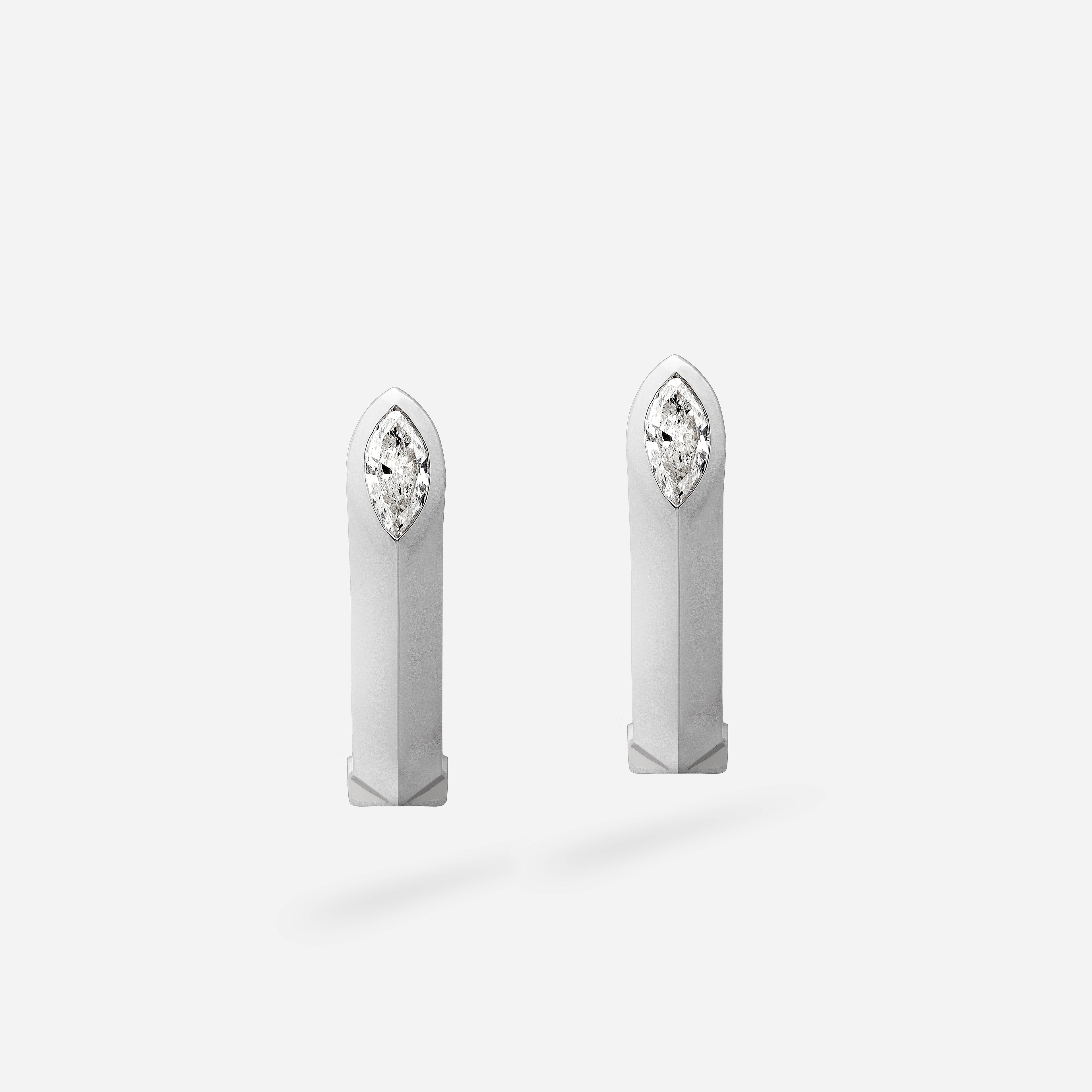 Ombré Earrings Shiny